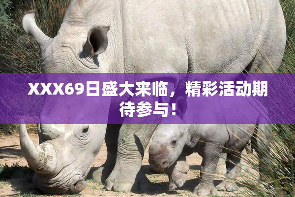 XXX69日盛大来临，精彩活动期待参与！