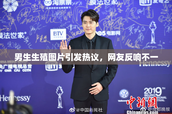 男生生殖图片引发热议，网友反响不一