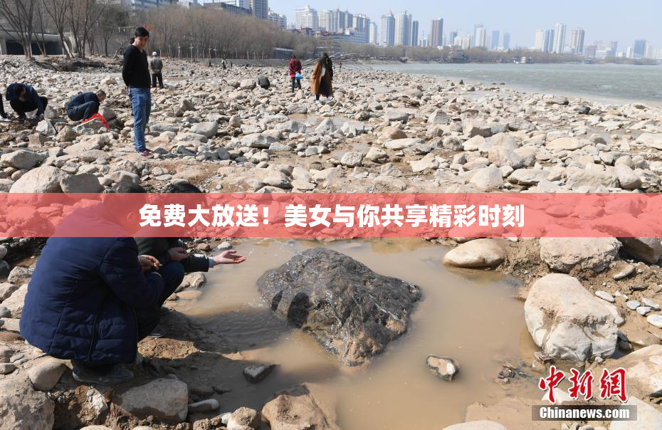 免费大放送！美女与你共享精彩时刻