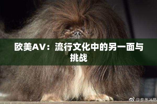 欧美AV：流行文化中的另一面与挑战