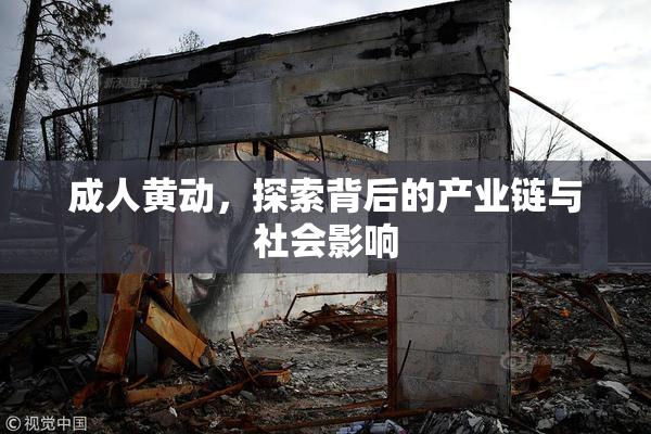 成人黄动，探索背后的产业链与社会影响