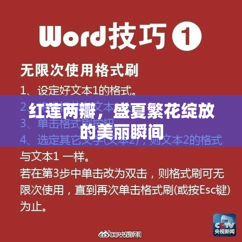 红莲两瓣，盛夏繁花绽放的美丽瞬间