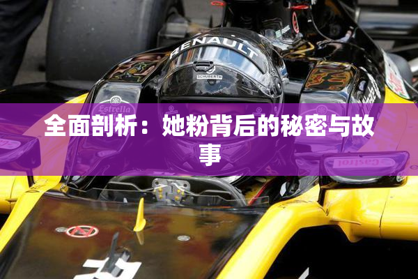 全面剖析：她粉背后的秘密与故事