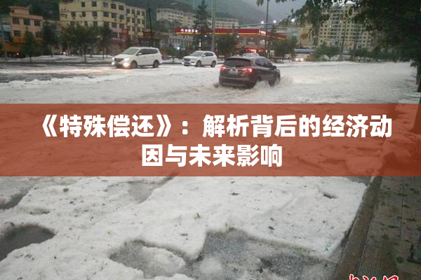 《特殊偿还》：解析背后的经济动因与未来影响