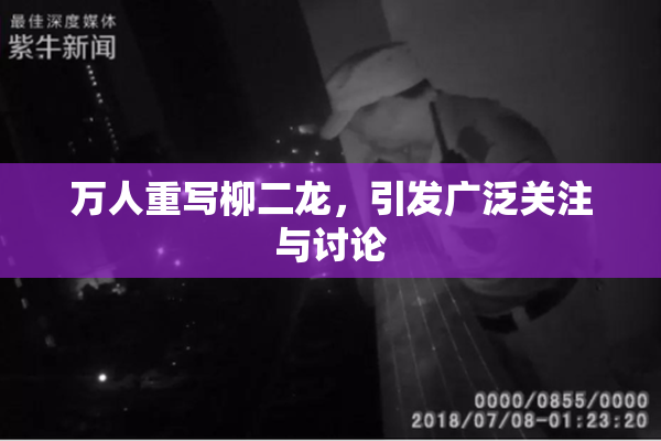 万人重写柳二龙，引发广泛关注与讨论