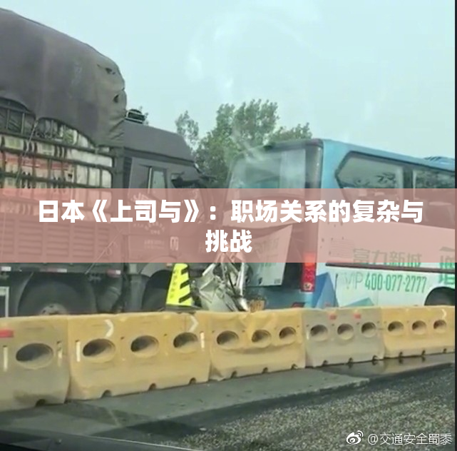 日本《上司与》：职场关系的复杂与挑战