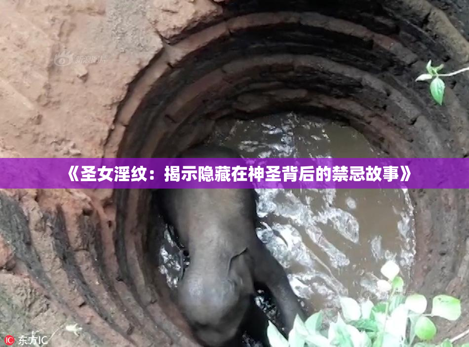 《圣女淫纹：揭示隐藏在神圣背后的禁忌故事》