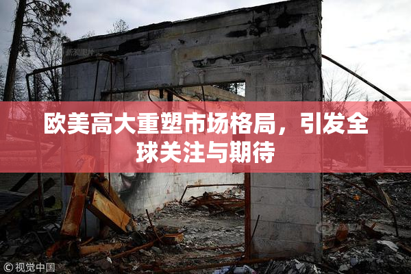 欧美高大重塑市场格局，引发全球关注与期待