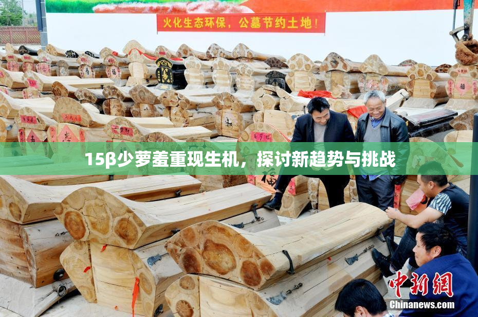 15β少萝羞重现生机，探讨新趋势与挑战