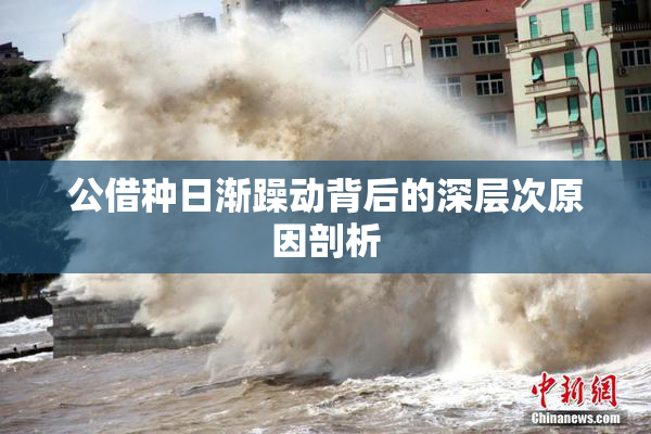 公借种日渐躁动背后的深层次原因剖析