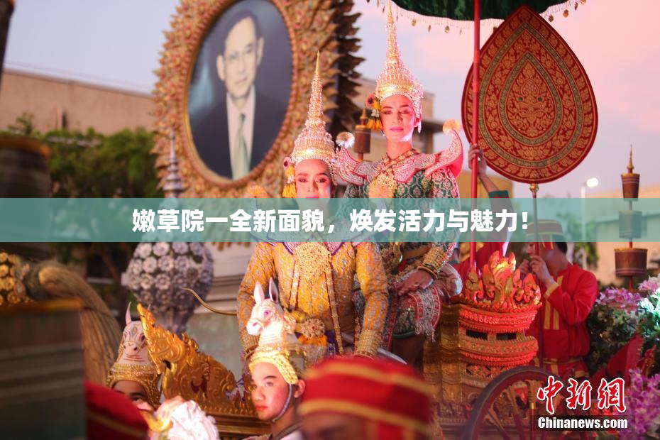 嫩草院一全新面貌，焕发活力与魅力！