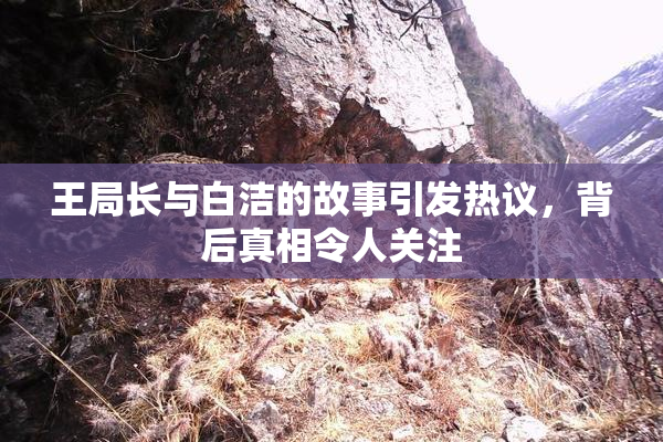 王局长与白洁的故事引发热议，背后真相令人关注