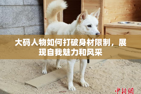 大码人物如何打破身材限制，展现自我魅力和风采