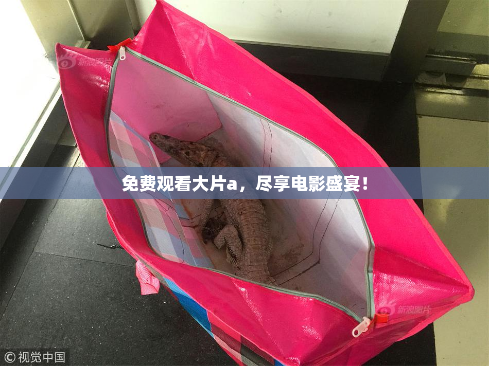 免费观看大片a，尽享电影盛宴！