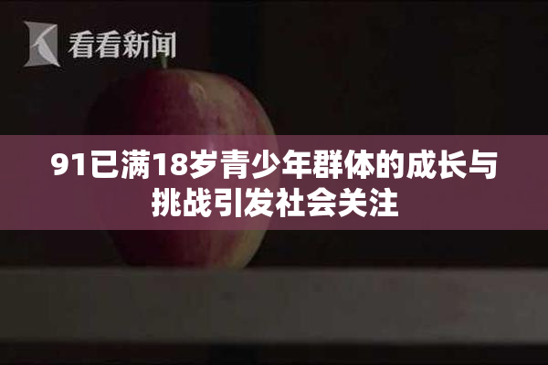91已满18岁青少年群体的成长与挑战引发社会关注