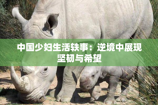 中国少妇生活轶事：逆境中展现坚韧与希望