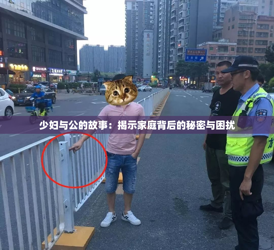 少妇与公的故事：揭示家庭背后的秘密与困扰