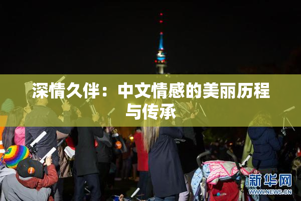 深情久伴：中文情感的美丽历程与传承