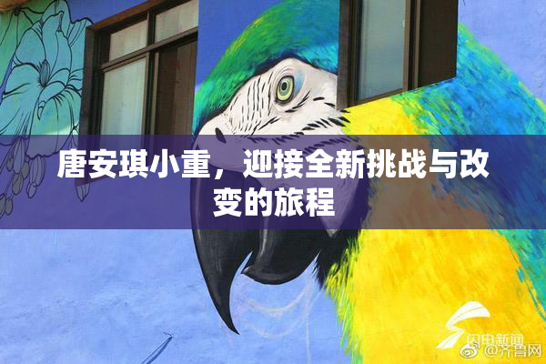 唐安琪小重，迎接全新挑战与改变的旅程