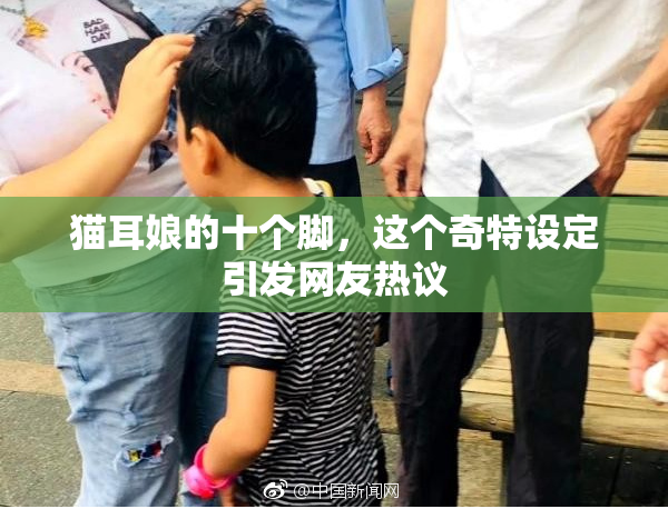 猫耳娘的十个脚，这个奇特设定引发网友热议