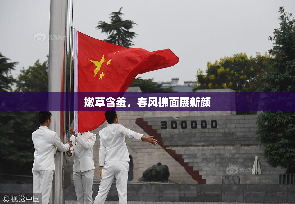 嫩草含羞，春风拂面展新颜