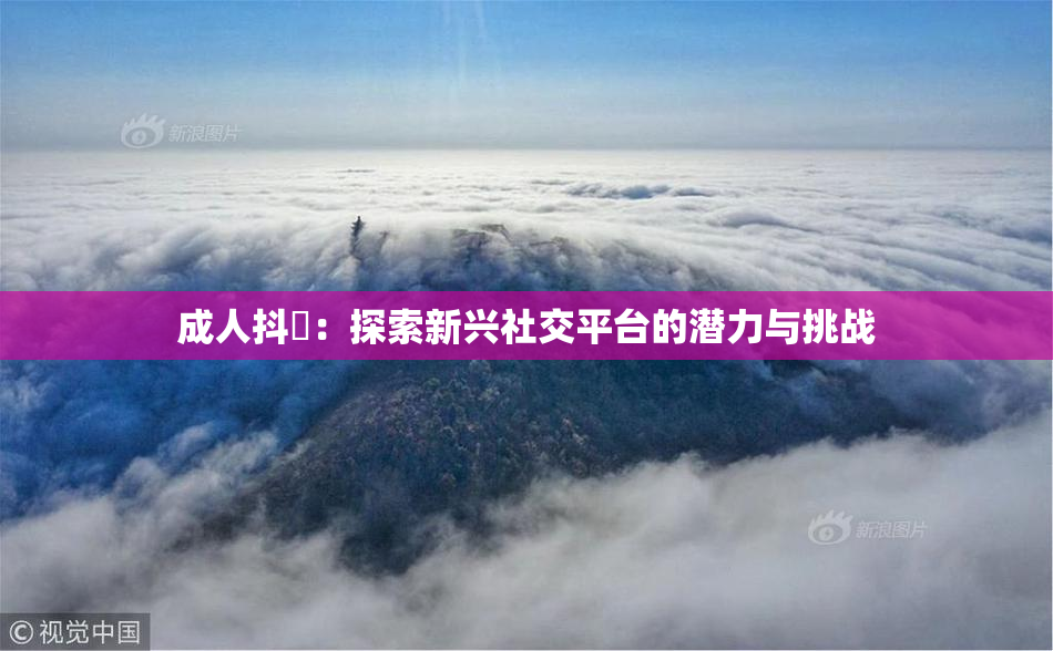 成人抖抈：探索新兴社交平台的潜力与挑战