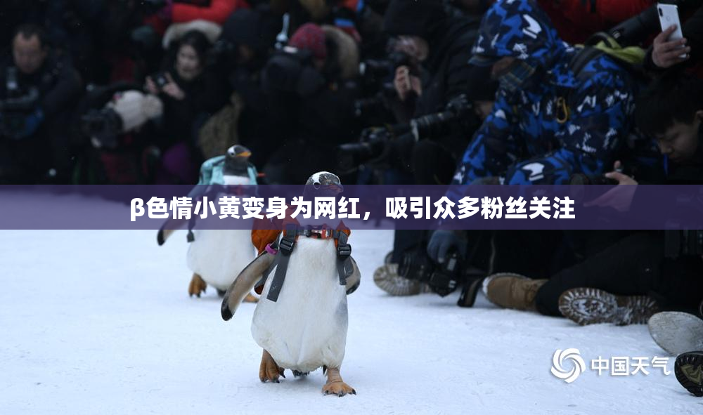 β色情小黄变身为网红，吸引众多粉丝关注