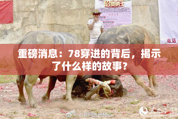 重磅消息：78穿进的背后，揭示了什么样的故事？