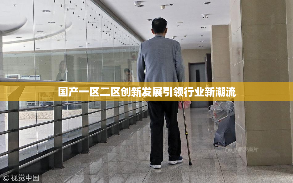 国产一区二区创新发展引领行业新潮流