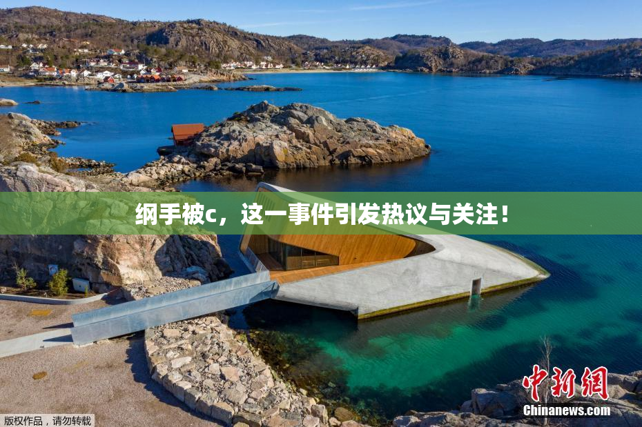 纲手被c，这一事件引发热议与关注！