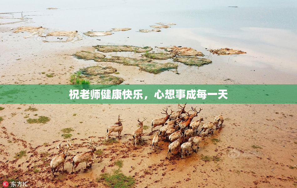 祝老师健康快乐，心想事成每一天