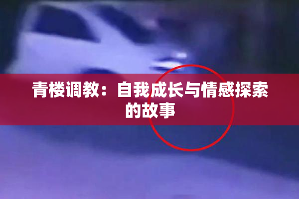 青楼调教：自我成长与情感探索的故事