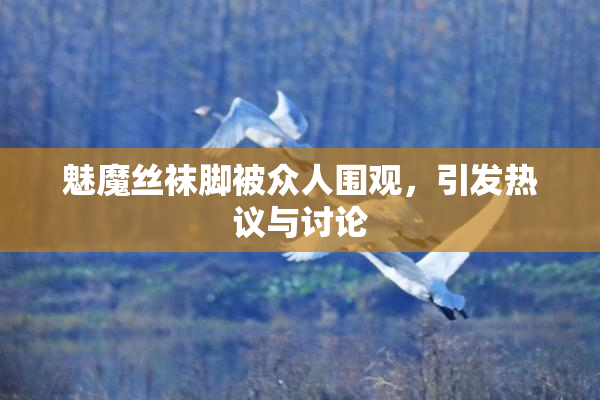 魅魔丝袜脚被众人围观，引发热议与讨论