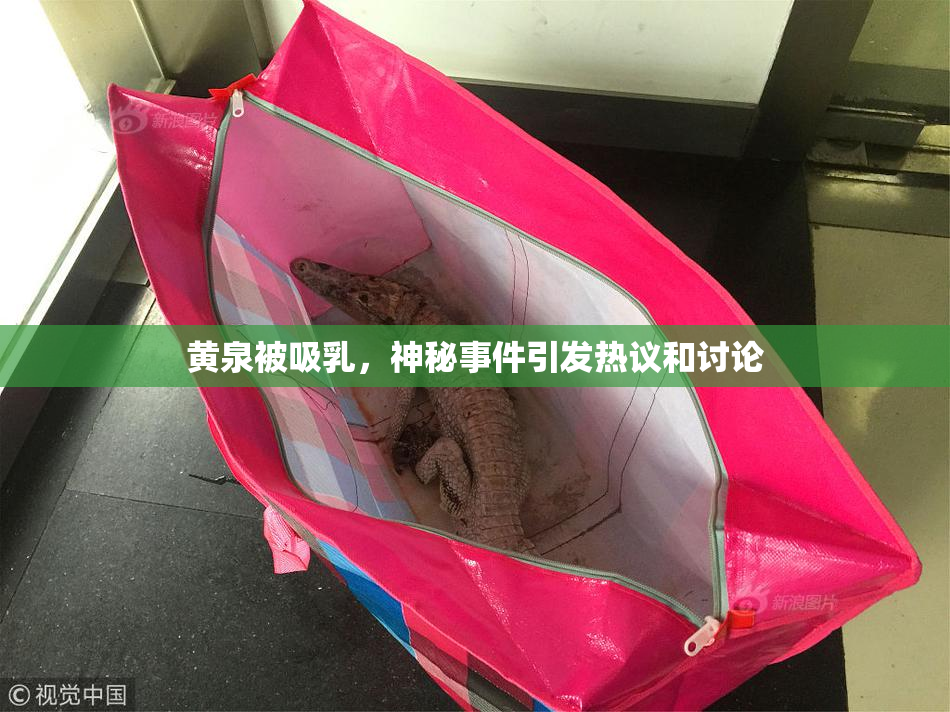 黄泉被吸乳，神秘事件引发热议和讨论
