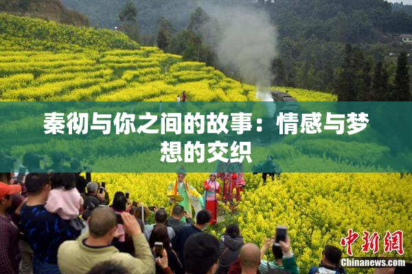 秦彻与你之间的故事：情感与梦想的交织