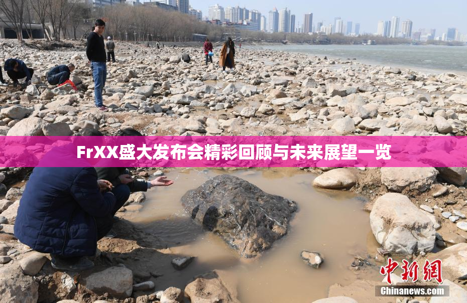 FrXX盛大发布会精彩回顾与未来展望一览