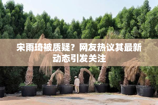 宋雨琦被质疑？网友热议其最新动态引发关注
