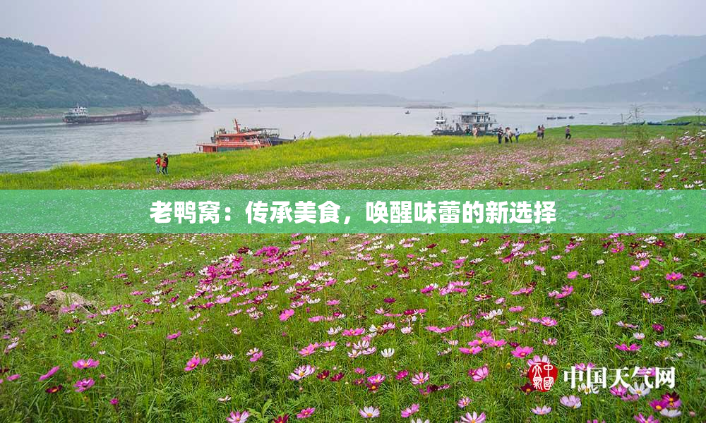老鸭窝：传承美食，唤醒味蕾的新选择