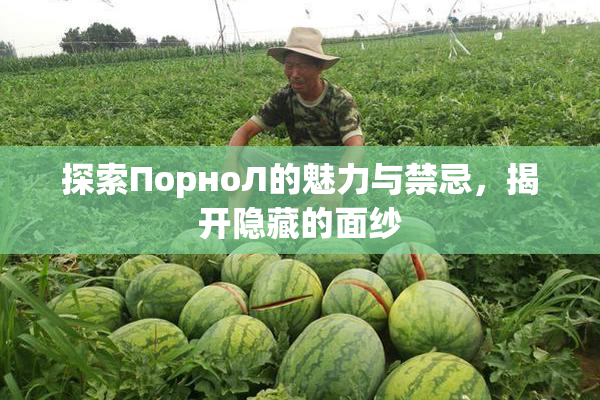 探索ПорноЛ的魅力与禁忌，揭开隐藏的面纱