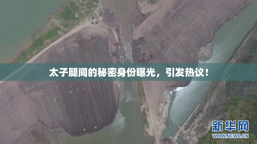 太子腿间的秘密身份曝光，引发热议！