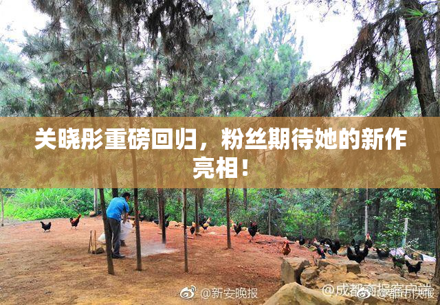 关晓彤重磅回归，粉丝期待她的新作亮相！