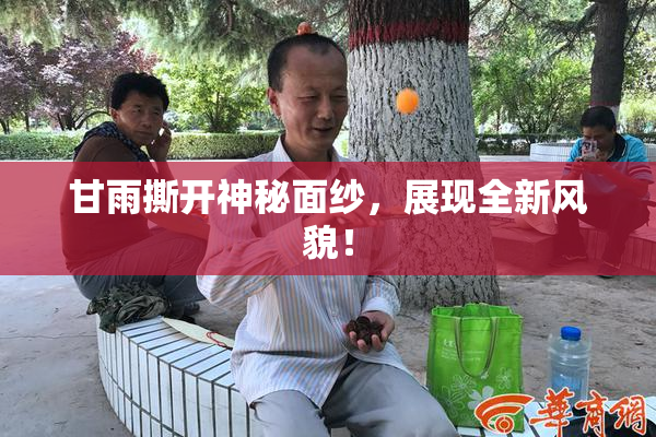 甘雨撕开神秘面纱，展现全新风貌！