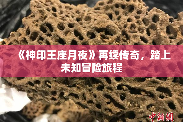 《神印王座月夜》再续传奇，踏上未知冒险旅程