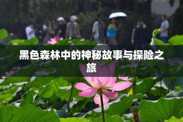 黑色森林中的神秘故事与探险之旅