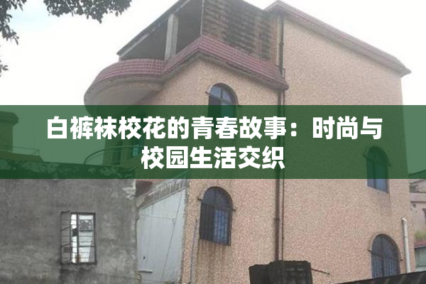 白裤袜校花的青春故事：时尚与校园生活交织