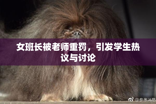 女班长被老师重罚，引发学生热议与讨论