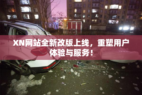 XN网站全新改版上线，重塑用户体验与服务！
