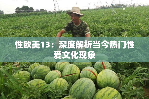 性欧美13：深度解析当今热门性爱文化现象