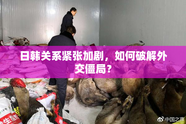 日韩关系紧张加剧，如何破解外交僵局？