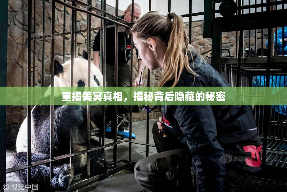 重揭美冥真相，揭秘背后隐藏的秘密